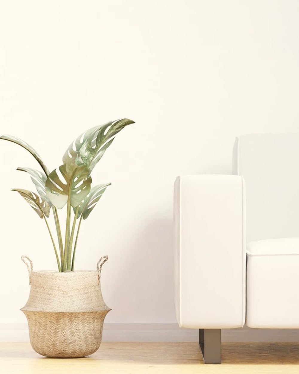 Minimal living space in a Vasant Vihar builder floor